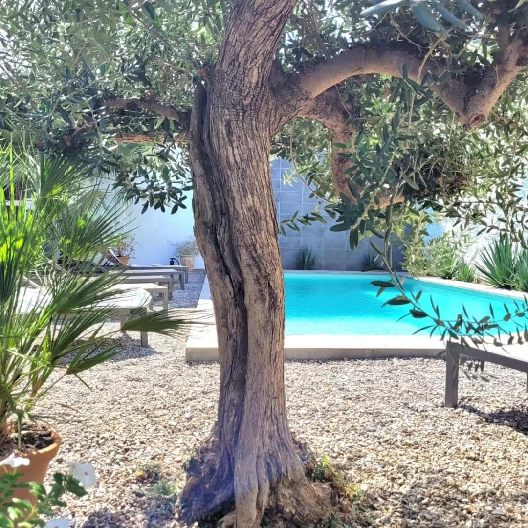 Bed and Breakfast El Cielo Azul Эль-Чорро Экстерьер фото